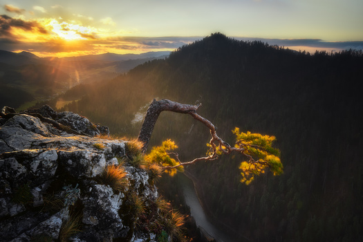 View Untitled 3 by Rafal Kani