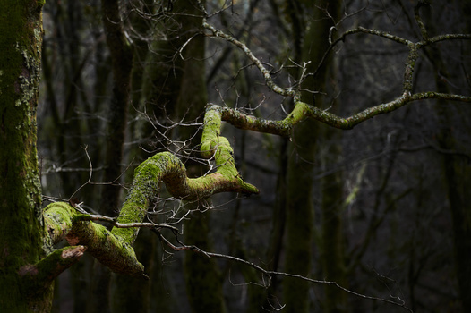 View Untitled 6 by Jon Zumalabe