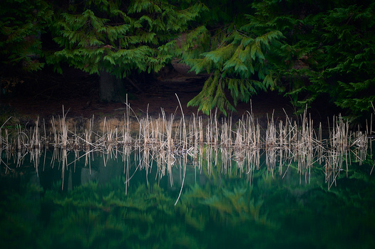 View Untitled 7 by Jon Zumalabe