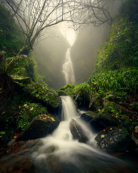View Untitled 8 by Jon Zumalabe