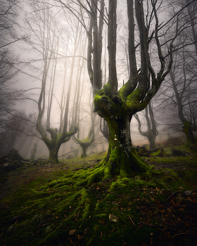 View Untitled 9 by Jon Zumalabe
