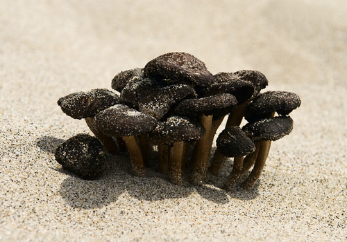 View Untitled 2 by James Zandecki