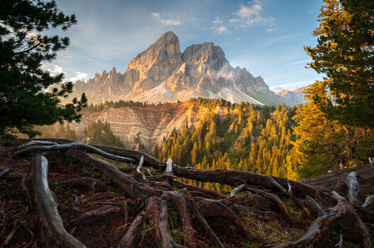 Image "Morning Light " by Michael Bottari