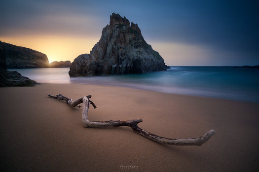 Image "Mexota" by David Navia