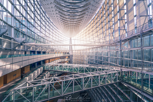 Image "Tokyo International Forum" by Daniel Viñé