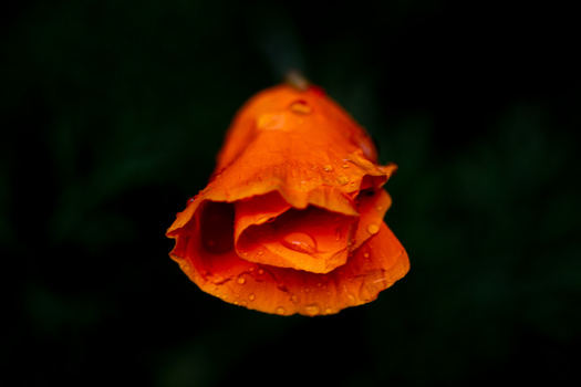 View Untitled 2 by Lee Griffith