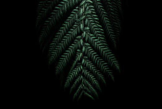View Untitled 2 by Jack Woodcock