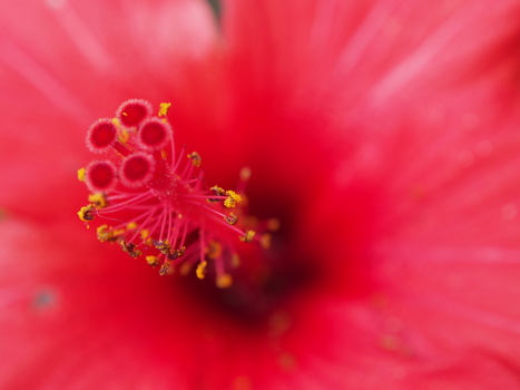 Image "pin point" by zaouli mimoun