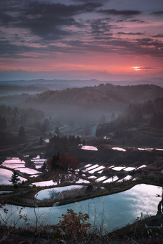 Image "Hoshitoge Rice Terraces" by Ean Dacay
