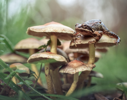Image "On my Seat" by Tiago Marques