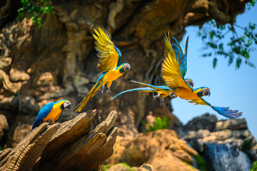 Image "Winged Encounters" by Sam Worden