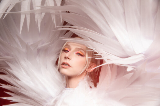 Image "Winged" by Teresa O