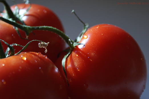 Image "Tomatos" by Jennifer McBride