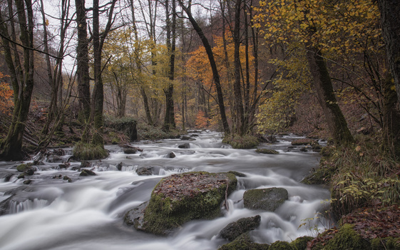 Image "Autumn in the Ardennes" by Alain Vermeersch