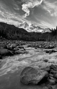 Image "Run Off" by George Kiselica