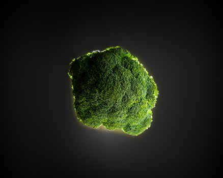 View Broccoli by Phillip Walsh