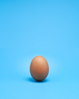View Egg by Phillip Walsh