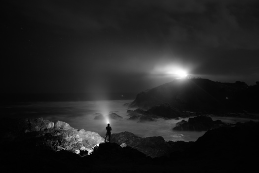 Image "Sea acres" by Shaun McGrath