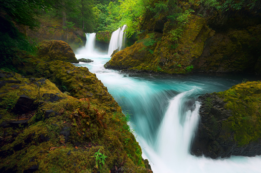 Image "Juiced" by Dubi N.