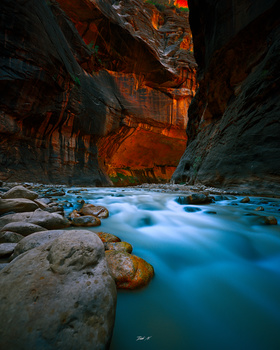Image "All trails lead to Zion." by Dubi N.