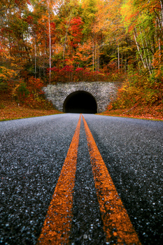 Image "Destination Pumpkin." by Dubi N.