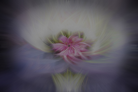 Image "Abstract flower" by Skyler Ewing