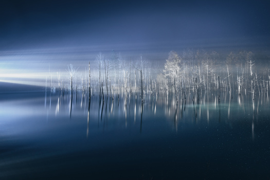 Image "Indigo blue" by Roy Iwasaki