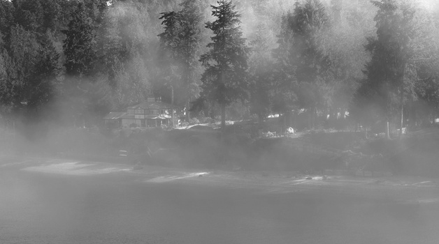 Image "Foggy Saturday" by Don L