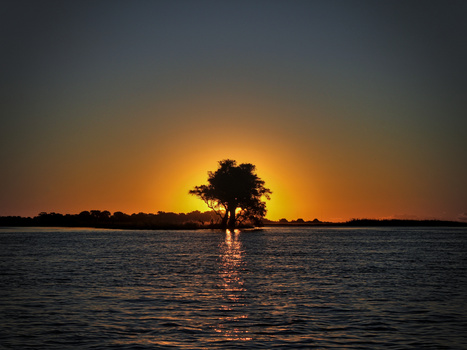 Image "African glow" by Henrik Larsen