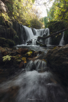 Image "Autumn streaming" by Manu García