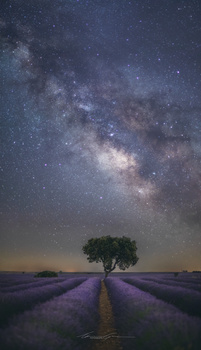 Image "Stars on 50 (mm)" by Manu García