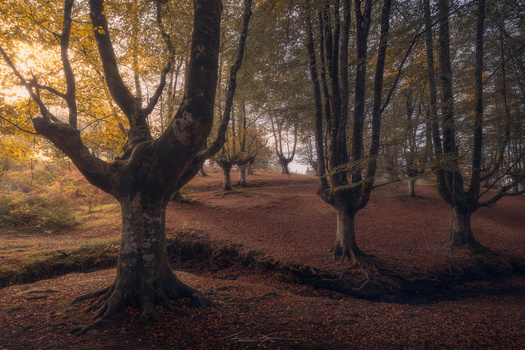 Image "Autumn waves" by Manu García
