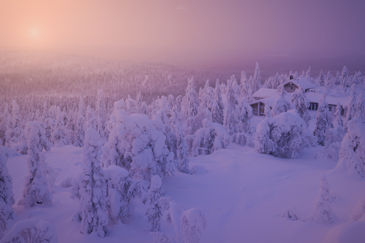 Image "Isolated" by Hugo Valle