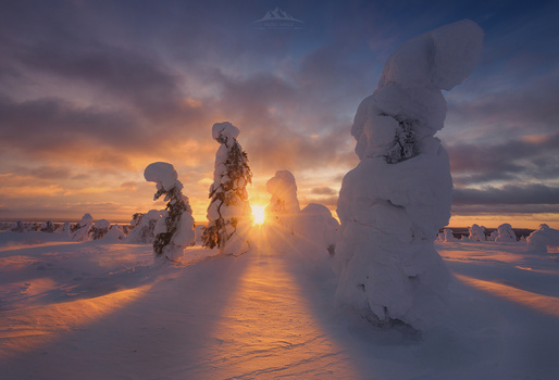 Image "Sunset Among Giants" by Hugo Valle