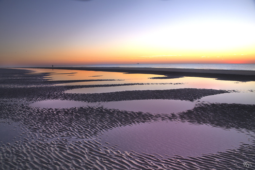 Image "Jekyll Island" by Roy Gipson Young