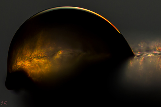 View Water droplet by Eddie Klaassen