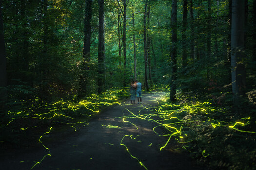 Image "Rush Hour" by Christian Möhrle