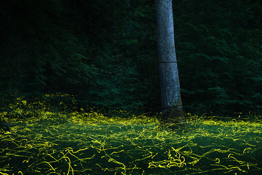 Image "Rush Hour" by Christian Möhrle