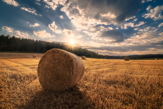 Image "Summer Day" by Christian Möhrle