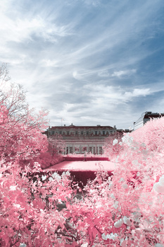 Image "Jardin du Palais Royal" by Jordan Donnelly