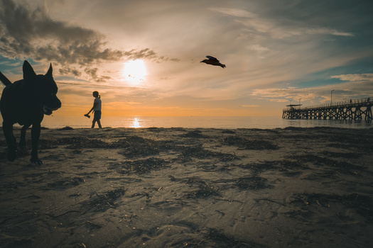 View Untitled 2 by Ross Duncan