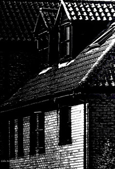 Image "SPOOKY FLATS" by Colin Andersson-Hamill