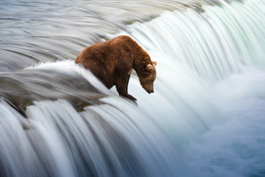 Image "Patience" by Karthik Subramaniam