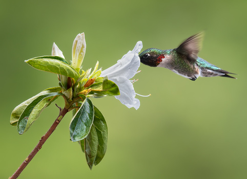Image "I am just so into you" by Atul Saluja