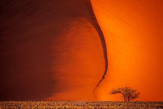 Image "Dune 47, Namibia" by Eduardo Fuster Salamero