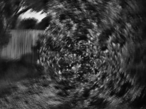 Image "Up Inside the Cyclone" by larry costa