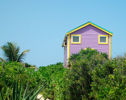 Image "Purple House" by Pat Burns