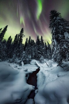 Image "Magic Lapland" by Unai Larraya