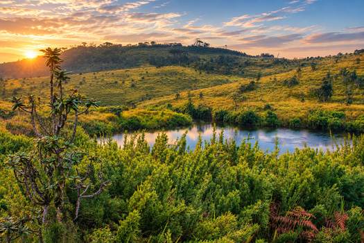 Image "Horton Plains – Close to Nature" by Amila Hewagama