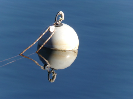 Image "A Buoy water reflection" by tammy higgins